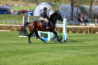 2026 - Shea - Bow Valley II - Thurday May 14th - 04774