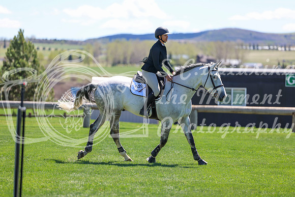 2026 - Shea - Bow Valley II - Thurday May 14th - 03460