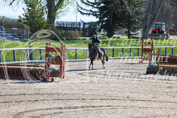 2026 - Shea - Bow Valley II - Thurday May 14th - 00023