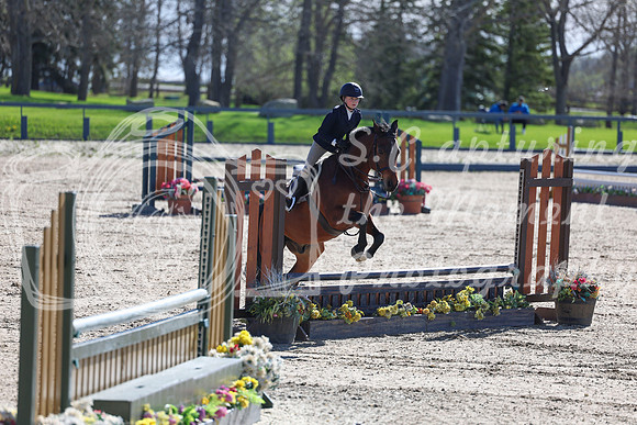 2026 - Shea - Bow Valley II - Thurday May 14th - 00537