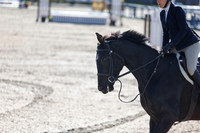 2026 - Shea - Bow Valley II - Thurday May 14th - 00471