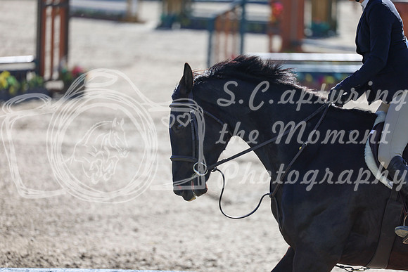 2026 - Shea - Bow Valley II - Thurday May 14th - 00474