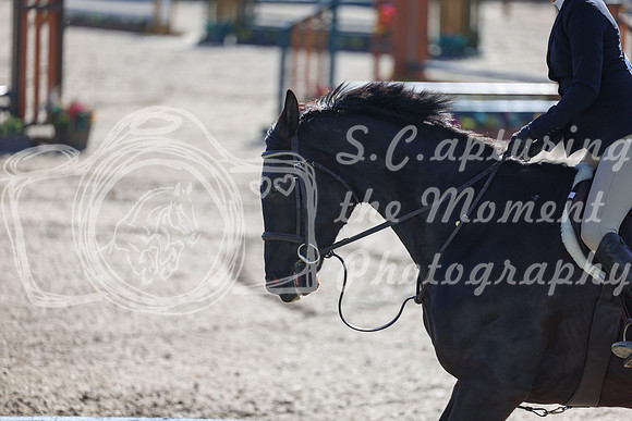 2026 - Shea - Bow Valley II - Thurday May 14th - 00473