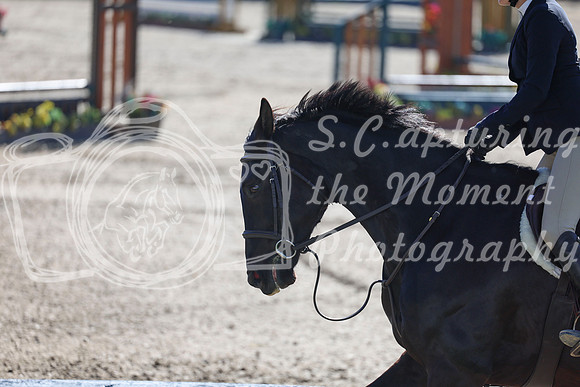 2026 - Shea - Bow Valley II - Thurday May 14th - 00475