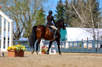 2026 - Shea - Bow Valley II - Thurday May 14th - 01736