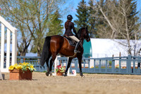 2026 - Shea - Bow Valley II - Thurday May 14th - 01737