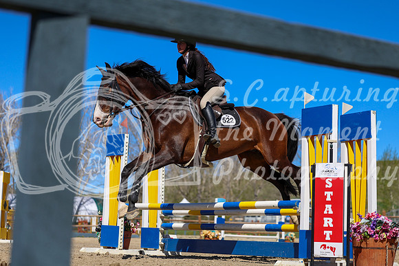2026 - Shea - Bow Valley II - Thurday May 14th - 01753