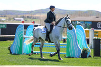 2026 - Shea - Bow Valley II - Thurday May 14th - 03467