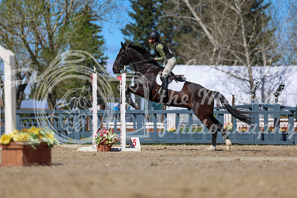 2026 - Shea - Bow Valley II - Thurday May 14th - 01716