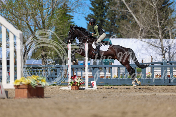 2026 - Shea - Bow Valley II - Thurday May 14th - 01718