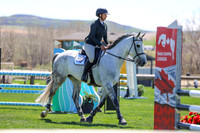 2026 - Shea - Bow Valley II - Thurday May 14th - 03473