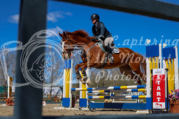 2026 - Shea - Bow Valley II - Thurday May 14th - 02296