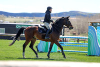 2026 - Shea - Bow Valley II - Thurday May 14th - 03817