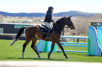 2026 - Shea - Bow Valley II - Thurday May 14th - 03818