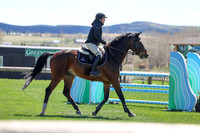 2026 - Shea - Bow Valley II - Thurday May 14th - 03819
