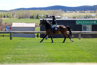 2026 - Shea - Bow Valley II - Thurday May 14th - 03823