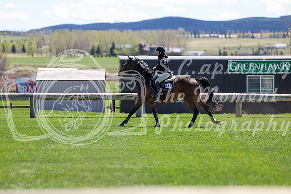 2026 - Shea - Bow Valley II - Thurday May 14th - 03823