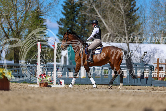 2026 - Shea - Bow Valley II - Thurday May 14th - 02253