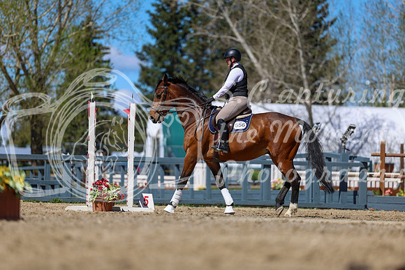 2026 - Shea - Bow Valley II - Thurday May 14th - 02252