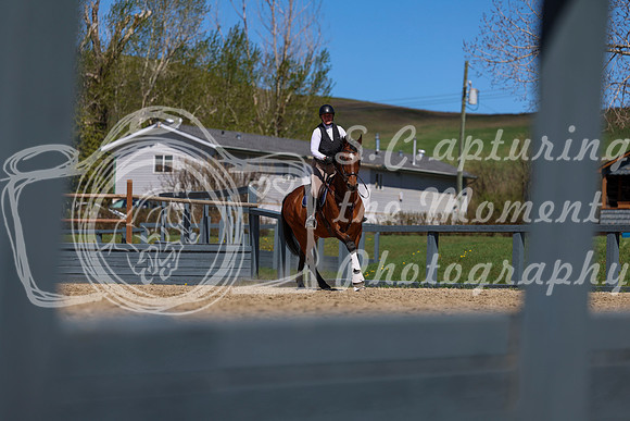 2026 - Shea - Bow Valley II - Thurday May 14th - 02256