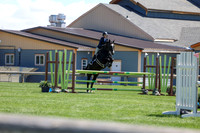 2026 - Shea - Bow Valley II - Thurday May 14th - 03536