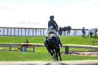 2026 - Shea - Bow Valley II - Thurday May 14th - 03730
