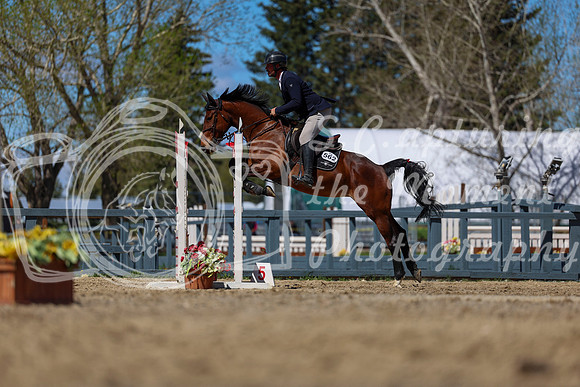 2026 - Shea - Bow Valley II - Thurday May 14th - 02237