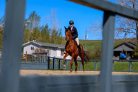 2026 - Shea - Bow Valley II - Thurday May 14th - 01904
