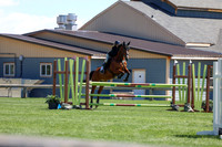 2026 - Shea - Bow Valley II - Thurday May 14th - 03954