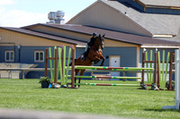 2026 - Shea - Bow Valley II - Thurday May 14th - 03953