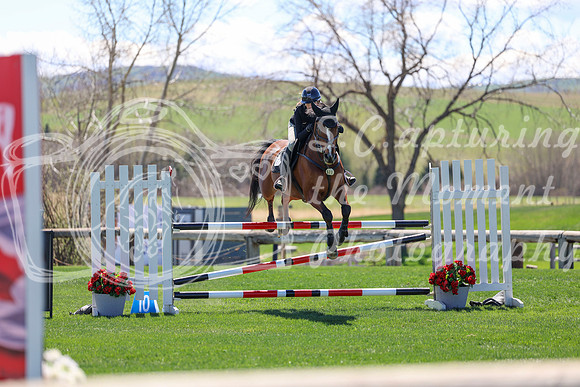 2026 - Shea - Bow Valley II - Thurday May 14th - 03983