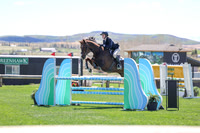 2026 - Shea - Bow Valley II - Thurday May 14th - 03324