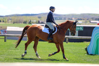 2026 - Shea - Bow Valley II - Thurday May 14th - 03546