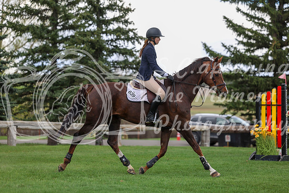 2026 - Shea - Bow Valley II - Friday May 15th - 10650
