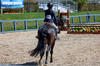 2026 - Shea - Bow Valley II - Friday May 15th - 07737