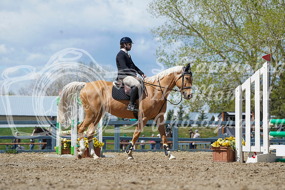 2026 - Alina - Bow Valley II - Friday May 15th - 06969