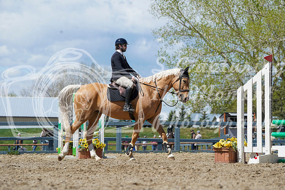 2026 - Alina - Bow Valley II - Friday May 15th - 06968