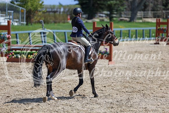 2026 - Shea - Bow Valley II - Friday May 15th - 07742