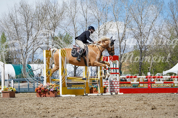 2026 - Alina - Bow Valley II - Friday May 15th - 06979