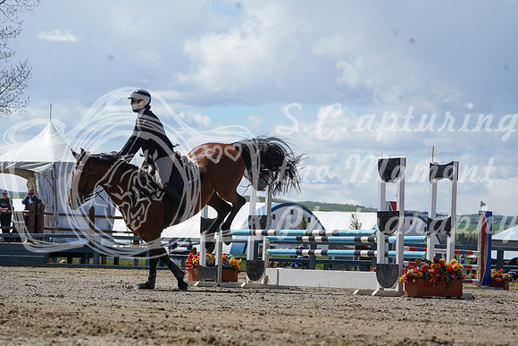 2026 - Alina - Bow Valley II - Friday May 15th - 11206