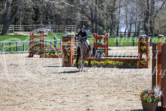 2026 - Shea - Bow Valley II - Friday May 15th - 07750