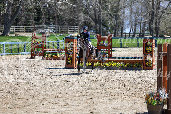 2026 - Shea - Bow Valley II - Friday May 15th - 07751