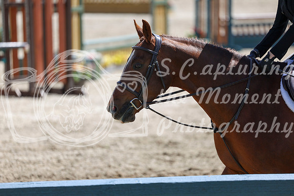 2026 - Shea - Bow Valley II - Friday May 15th - 07339