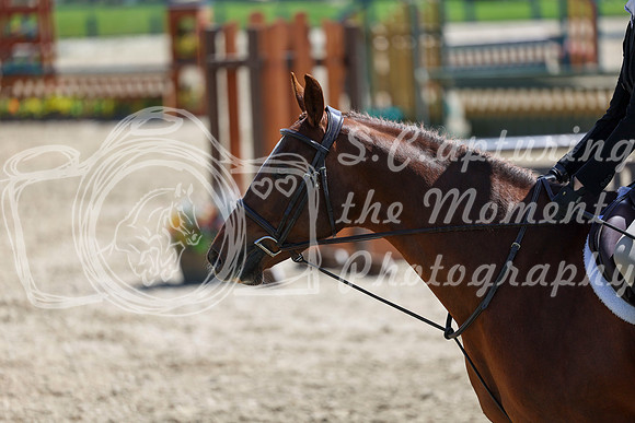 2026 - Shea - Bow Valley II - Friday May 15th - 07341