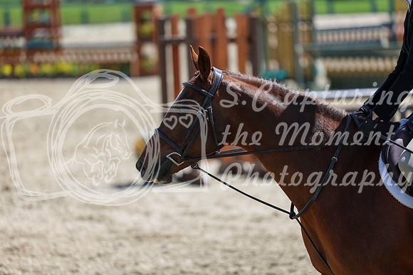 2026 - Shea - Bow Valley II - Friday May 15th - 07342