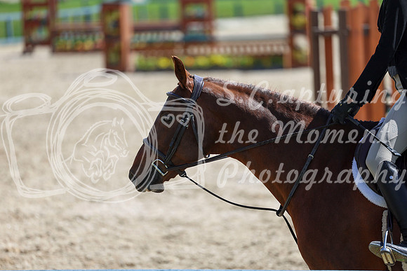 2026 - Shea - Bow Valley II - Friday May 15th - 07343