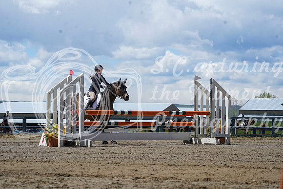 2026 - Alina - Bow Valley II - Friday May 15th - 11116