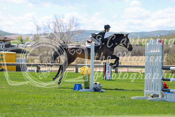 2026 - Shea - Bow Valley II - Friday May 15th - 08666