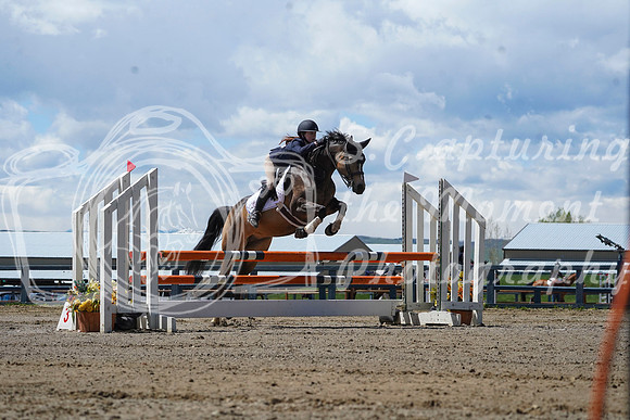 2026 - Alina - Bow Valley II - Friday May 15th - 11120
