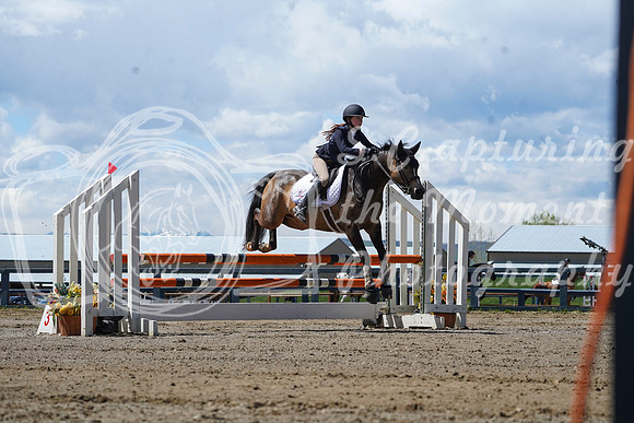 2026 - Alina - Bow Valley II - Friday May 15th - 11122